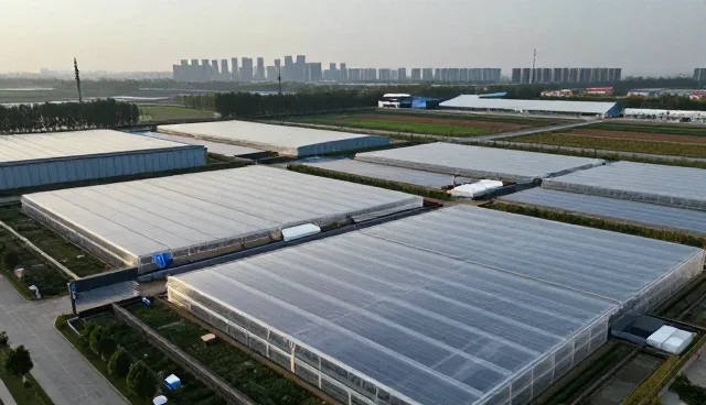 空间美学在软装搭配中的实际应用与设计逻辑